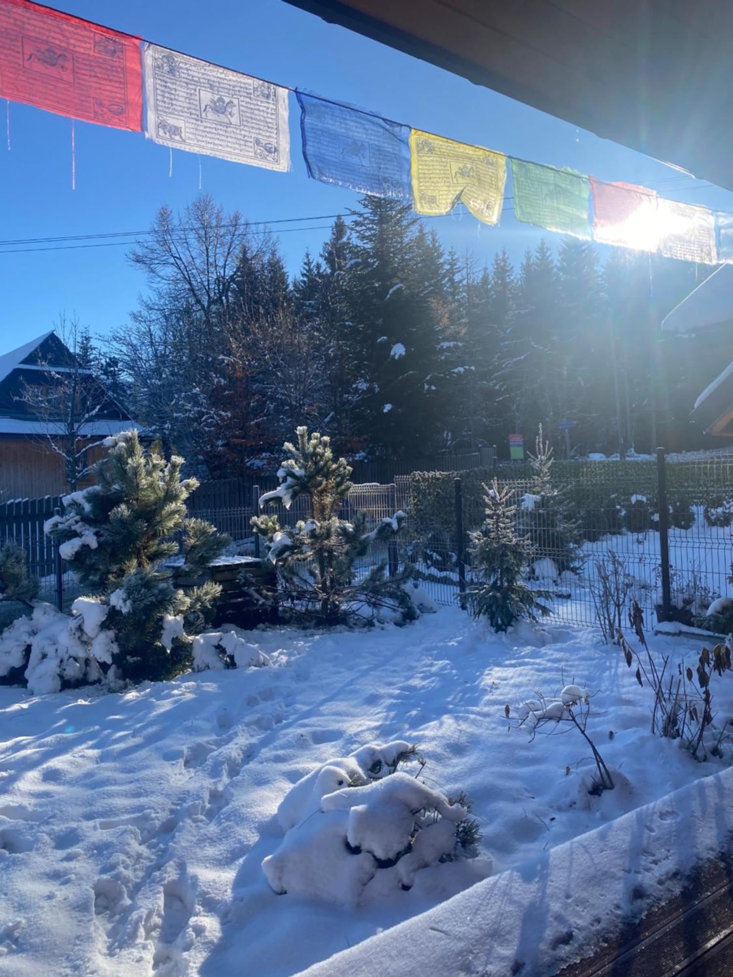 Punkt Koscielisko, Dom Gorski 800 M Od Doliny Koscieliskiej Exterior foto
